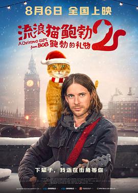 久久机热一这里只精品